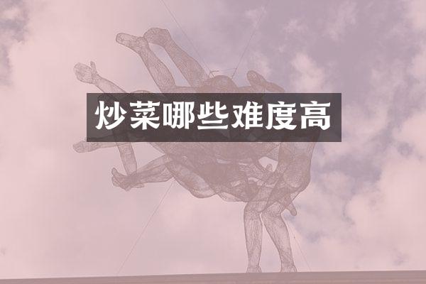 炒菜哪些难度高