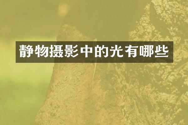 静物摄影中的光有哪些