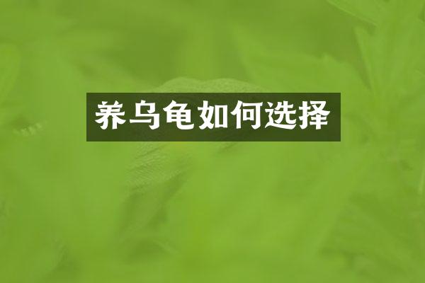 养乌龟如何选择