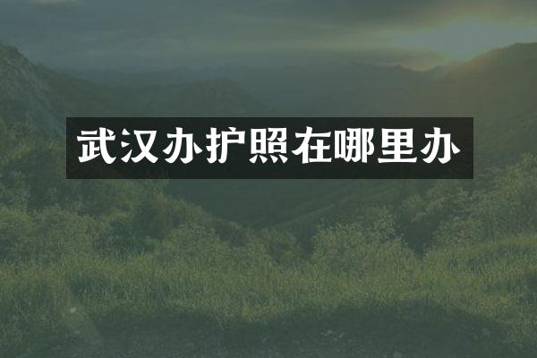 武汉办护照在哪里办