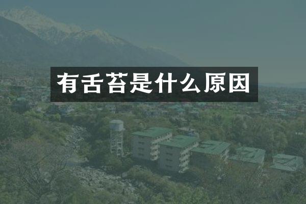 有舌苔是什么原因