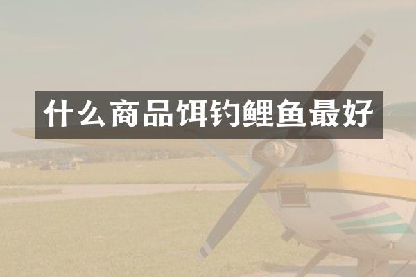 什么商品饵钓鲤鱼最好