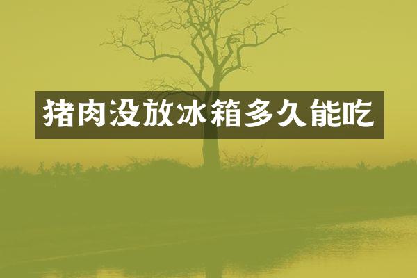 猪肉没放冰箱多久能吃