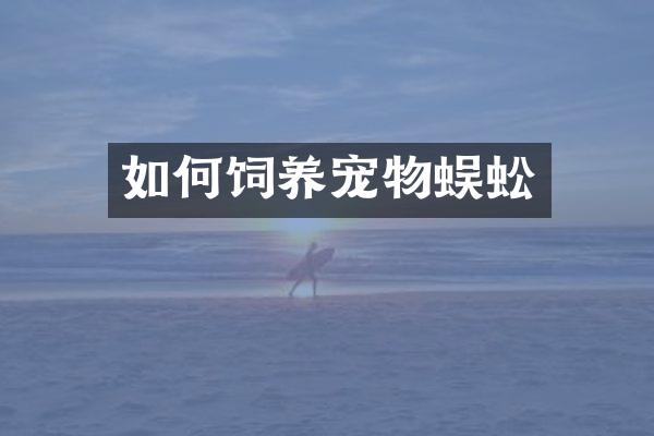 如何饲养宠物蜈蚣