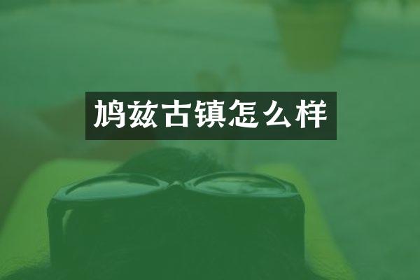 鸠兹古镇怎么样