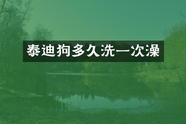 泰迪狗多久洗一次澡