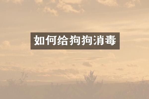 如何给狗狗消毒