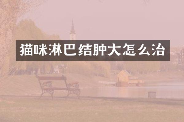 猫咪淋巴结肿大怎么治