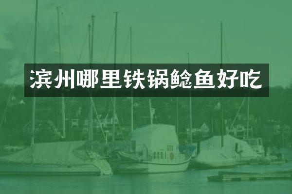 滨州哪里铁锅鲶鱼好吃