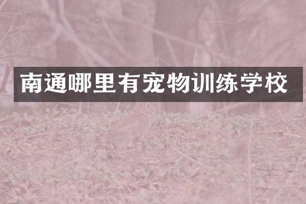 南通哪里有宠物训练学校
