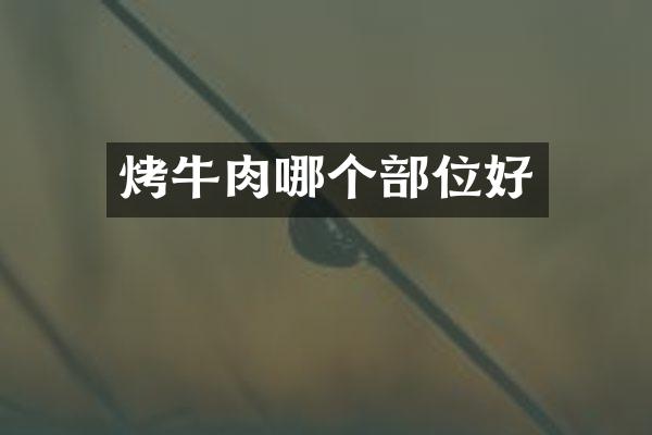 烤牛肉哪个部位好
