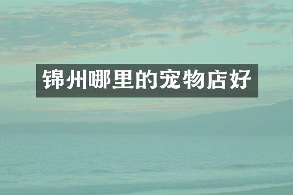 锦州哪里的宠物店好