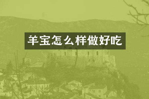 羊宝怎么样做好吃