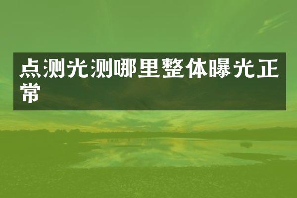 点测光测哪里整体曝光正常