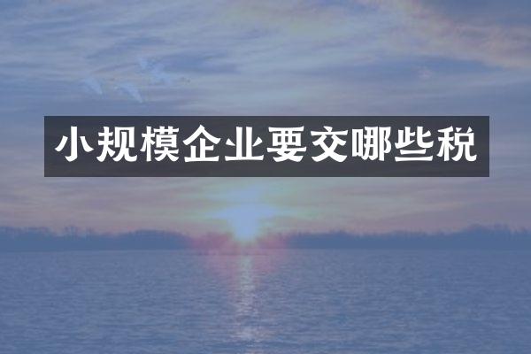 小规模企业要交哪些税