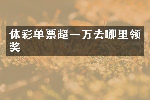 体彩单票超一万去哪里领奖