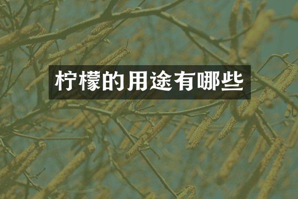 柠檬的用途有哪些