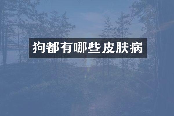 狗都有哪些皮肤病