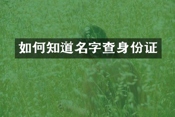 如何知道名字查身份证