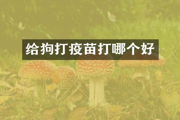 给狗打疫苗打哪个好