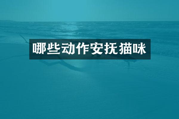 哪些动作安抚猫咪