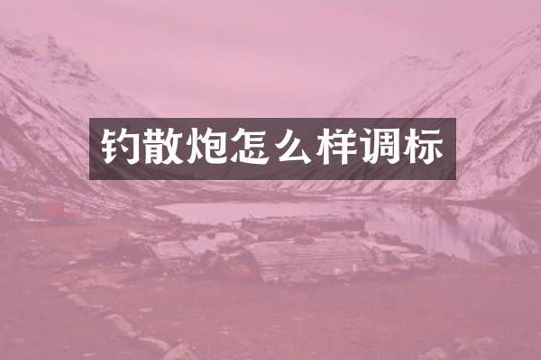钓散炮怎么样调标