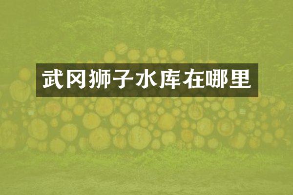 武冈狮子水库在哪里