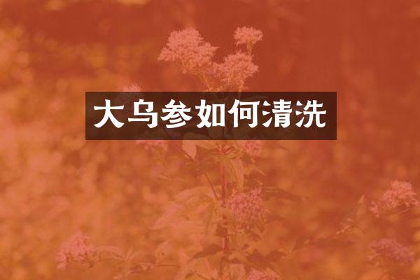大乌参如何清洗