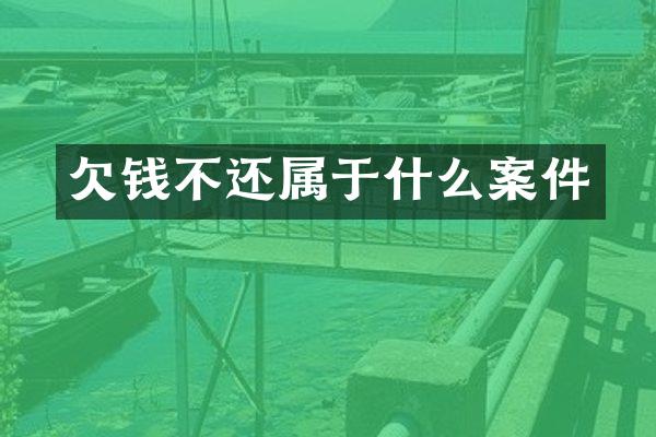 不还属于什么案件