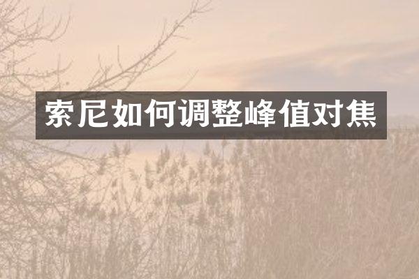 索尼如何调整峰值对焦