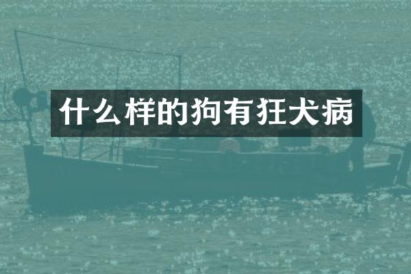 什么样的狗有狂犬病
