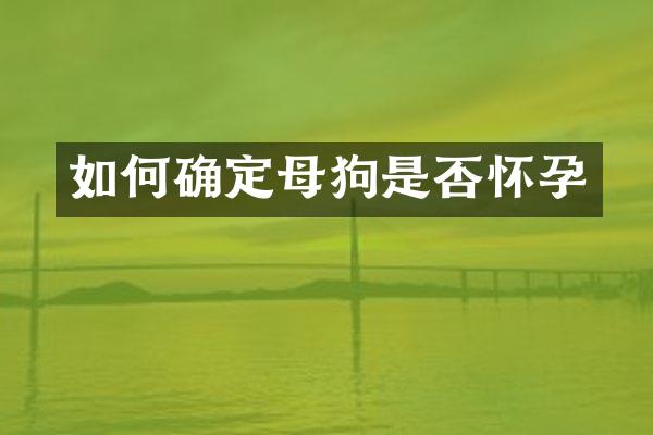 如何确定母狗是否怀孕