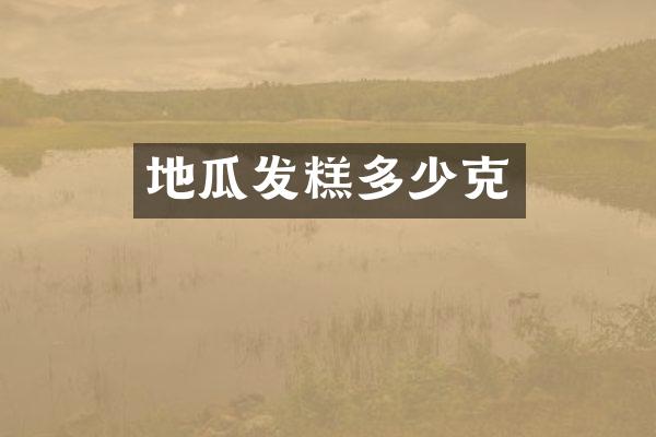 地瓜发糕多少克