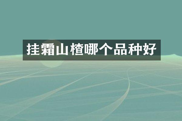 挂霜山楂哪个品种好