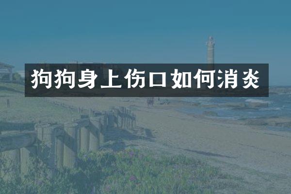 狗狗身上伤口如何消炎