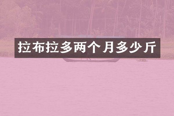 拉布拉多两个月多少斤