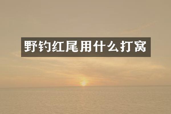 野钓红尾用什么打窝