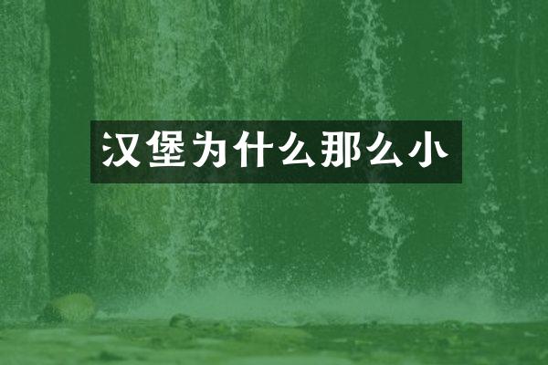 汉堡为什么那么小