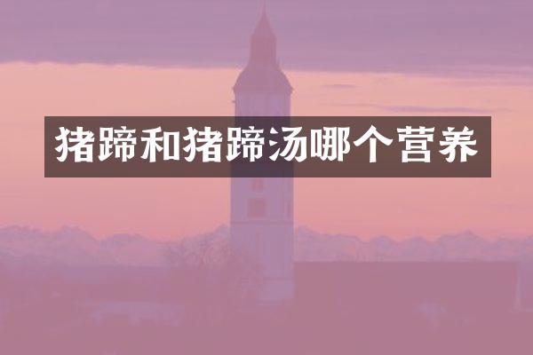 猪蹄和猪蹄汤哪个营养