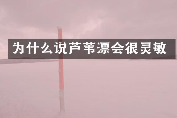 为什么说芦苇漂会很灵敏