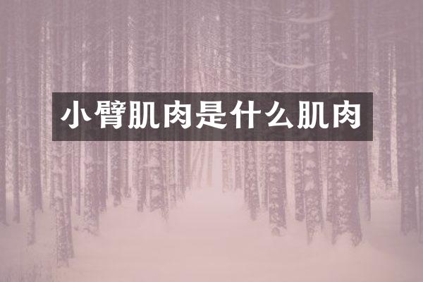 小臂肌肉是什么肌肉