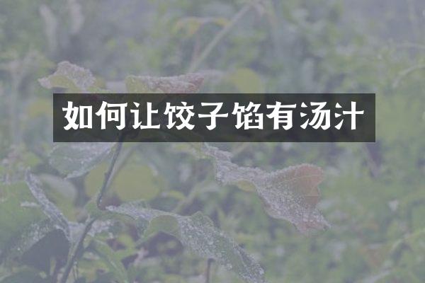 如何让饺子馅有汤汁