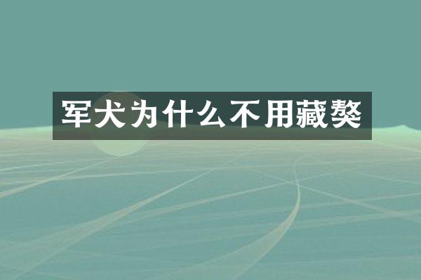 军犬为什么不用藏獒
