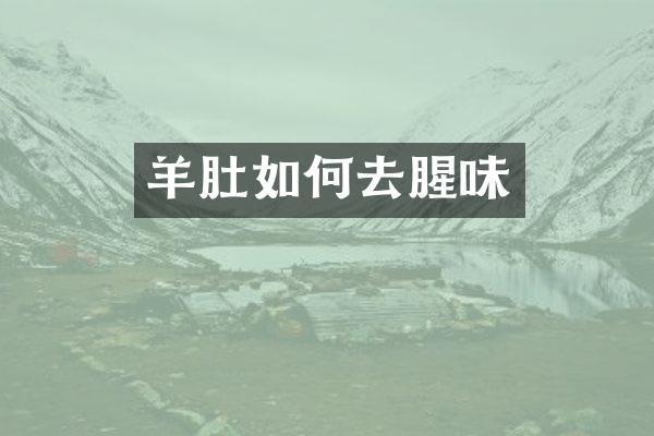 羊肚如何去腥味