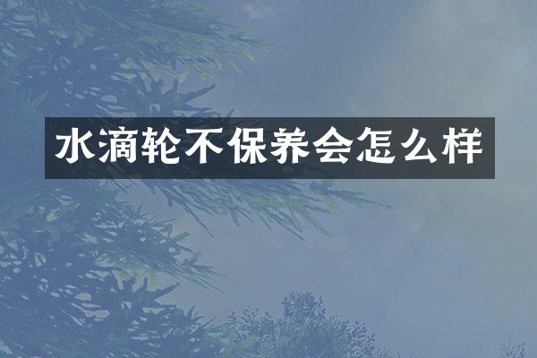 水滴轮不保养会怎么样