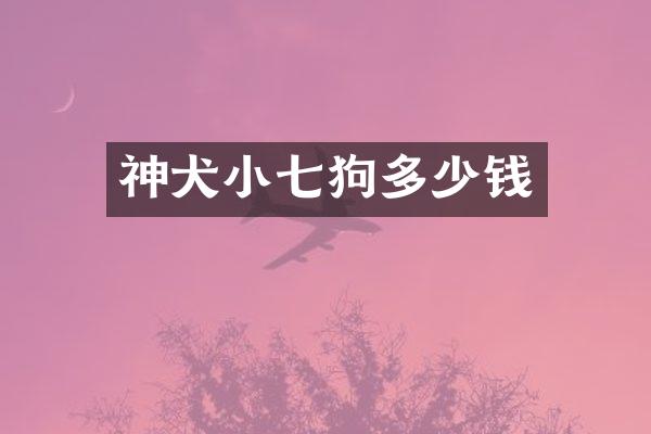 神犬小七狗多少钱