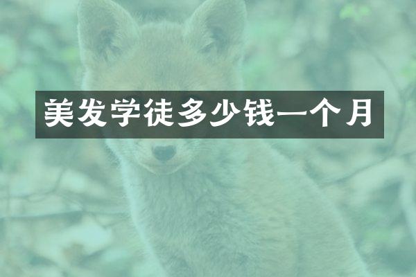 美发学徒多少钱一个月