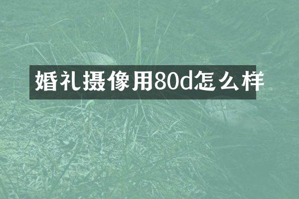 婚礼摄像用80d怎么样