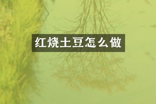 红烧土豆怎么做