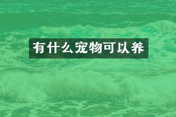 有什么宠物可以养